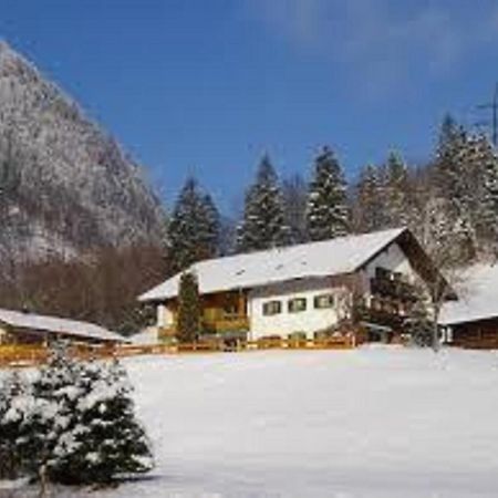 Haus Holzner-Nagl Appartement Schneizlreuth Buitenkant foto