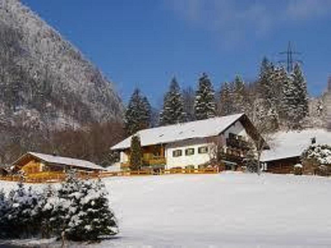 Haus Holzner-Nagl Appartement Schneizlreuth Buitenkant foto